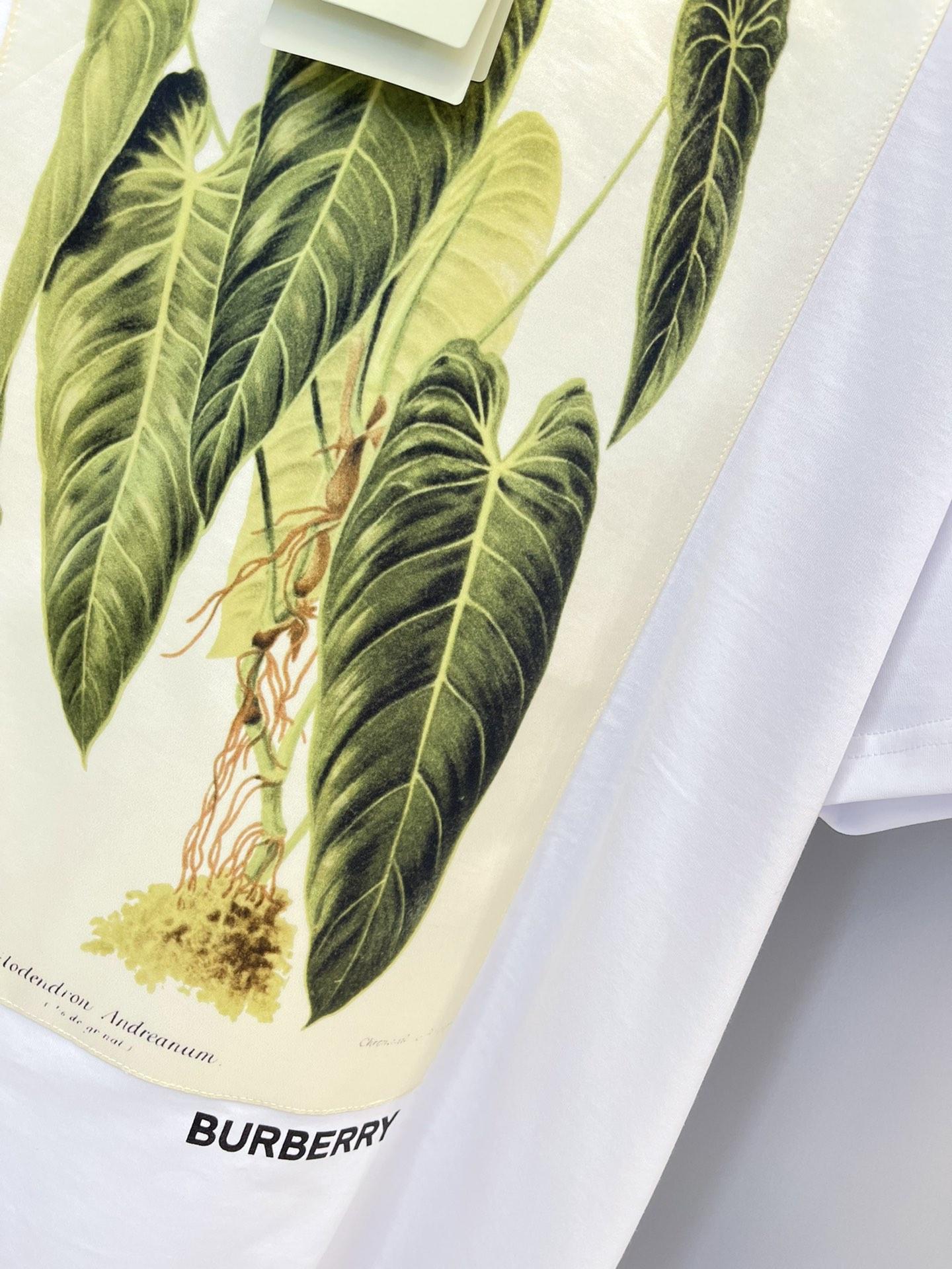 botanical-sketch-print-cotton-oversized-t-shirt-2764_16844985623-1000