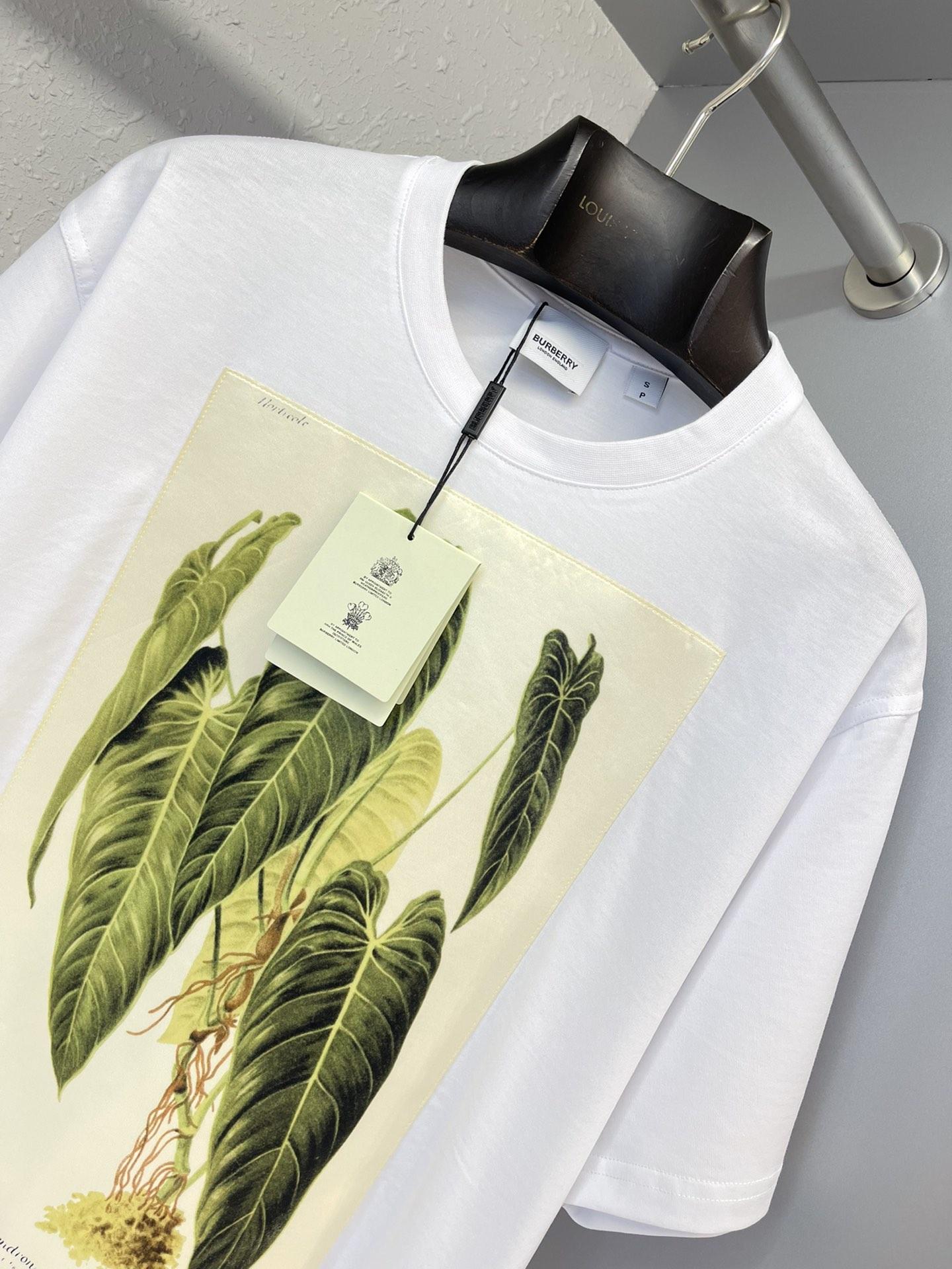 botanical-sketch-print-cotton-oversized-t-shirt-2764_16844985624-1000