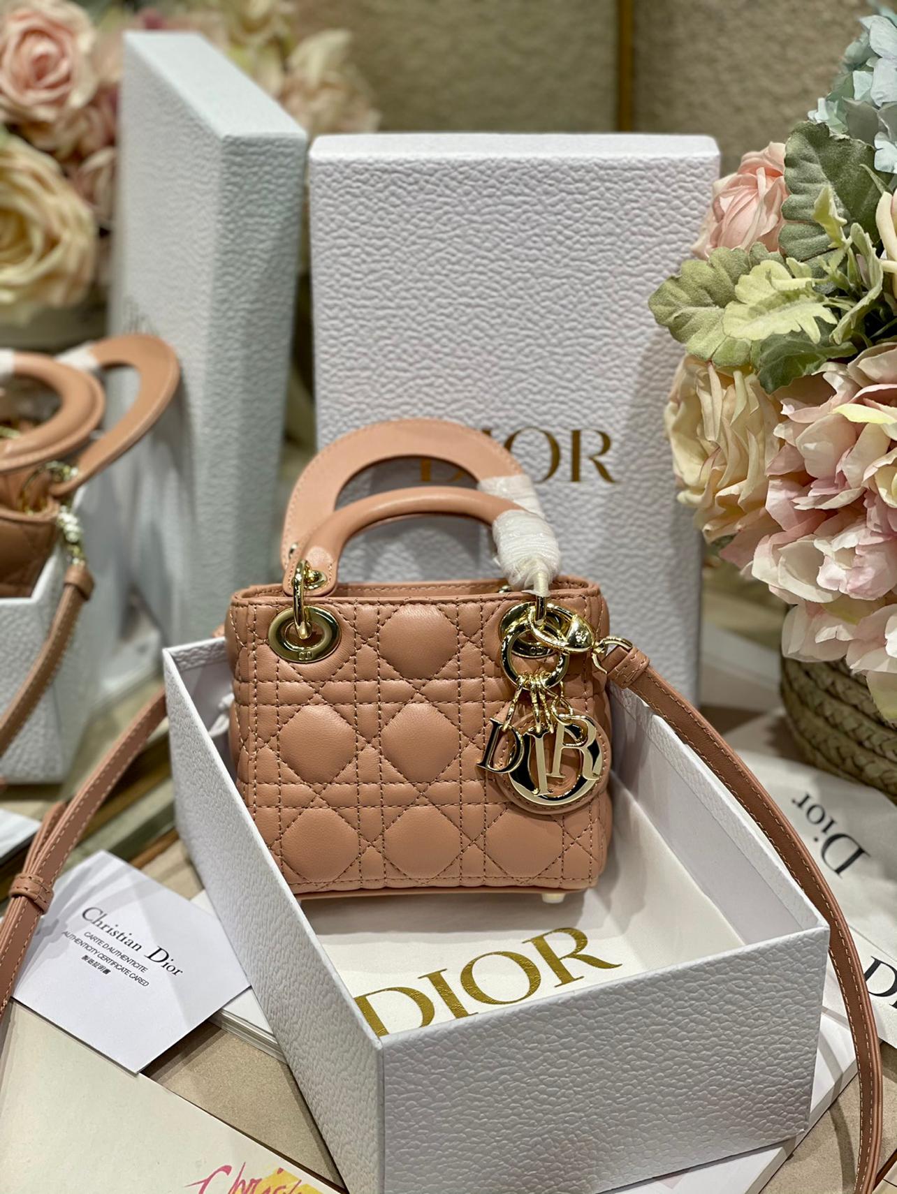 micro-lady-dior-bag-153_16843496044-1000