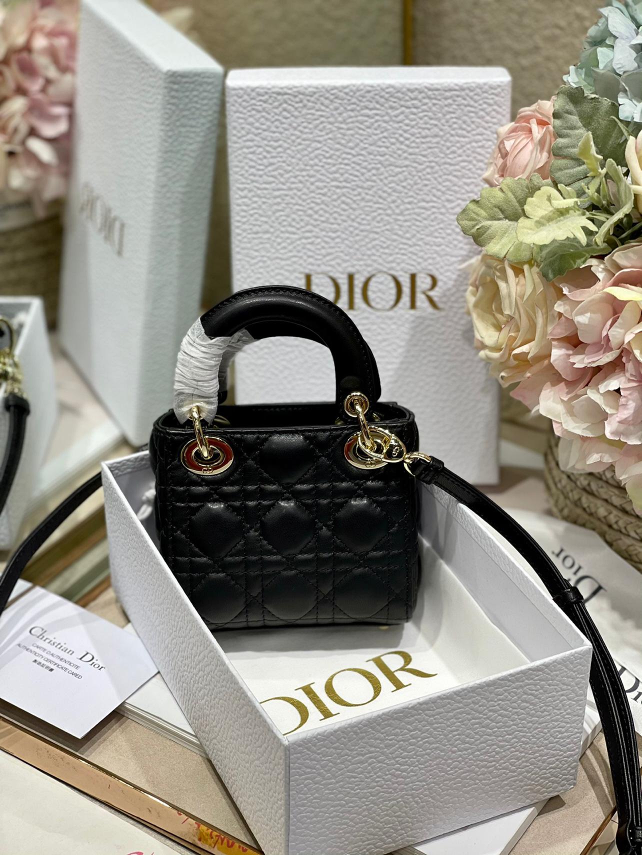 micro-lady-dior-bag-154_16843496083-1000