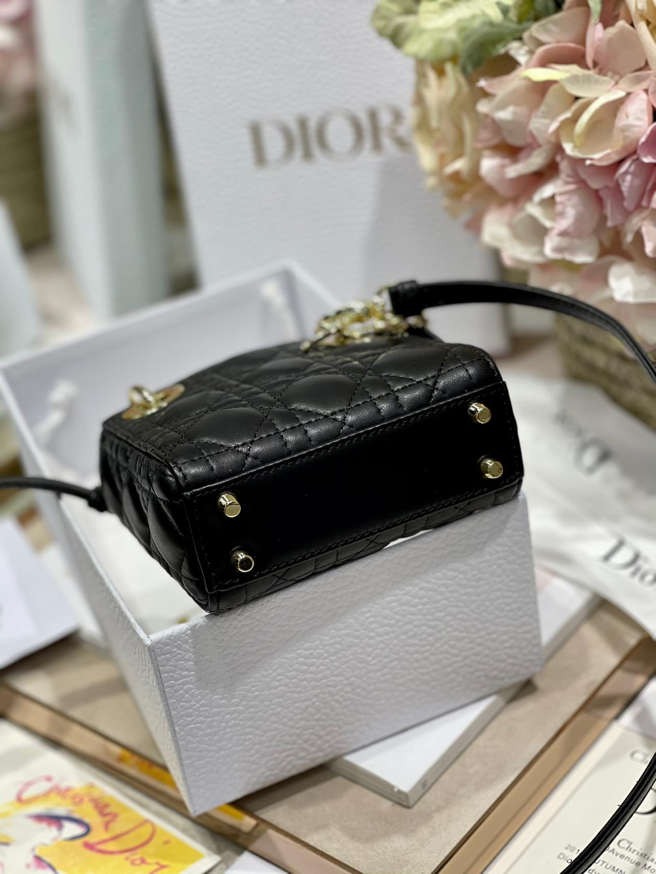 micro-lady-dior-bag-154_16843496096-1000